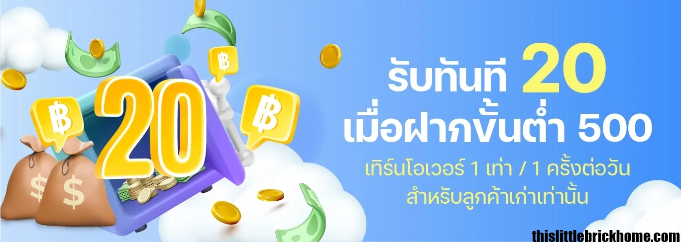 เว็บDNABet
