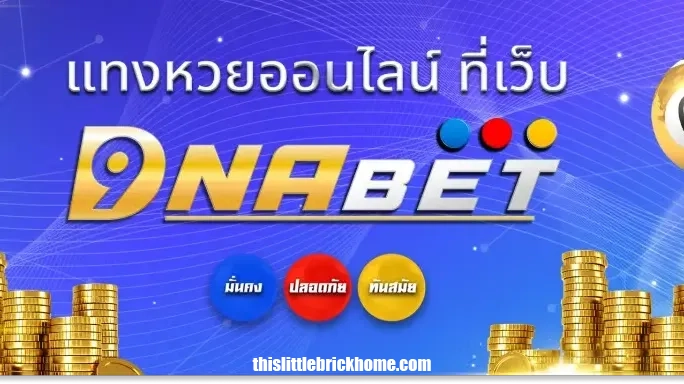 เว็บDNABet